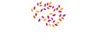 Velora Crystal &amp; Wellness Shop - Home